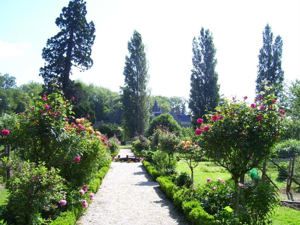 Chateau De Montriou Feneu Exterior photo